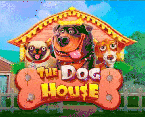 play the dog house in novoline1 casino